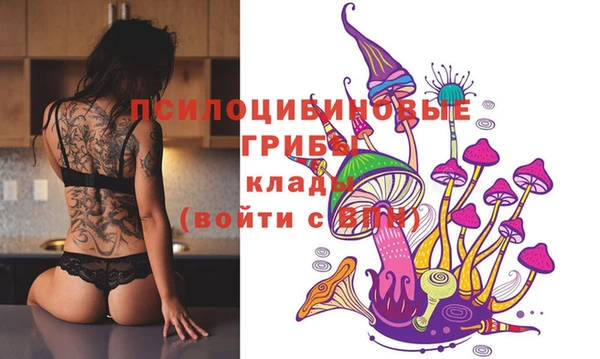 мяу мяу мука Алексеевка
