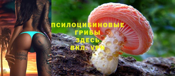 героин Алексин